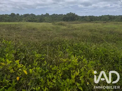 Building plot in Baie-Mahault (97122)