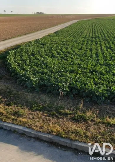 Terrain agricole  à Mesnil-Sellières (10220)