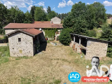 Farm in Usson-en-Forez (42550)