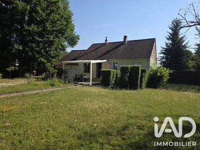 House in Courtenay (45320)