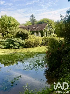 Domain in Nailly (89100)