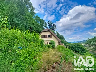 House in Luttenbach-près-Munster (68140)
