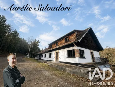House in Labaroche (68910)