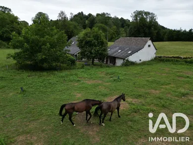 Maison de campagne à Louvie-Juzon (64260)