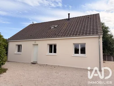 Traditional house in Oison (45170)