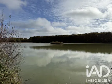 Terrain loisirs à Mézières-en-Brenne (36290)