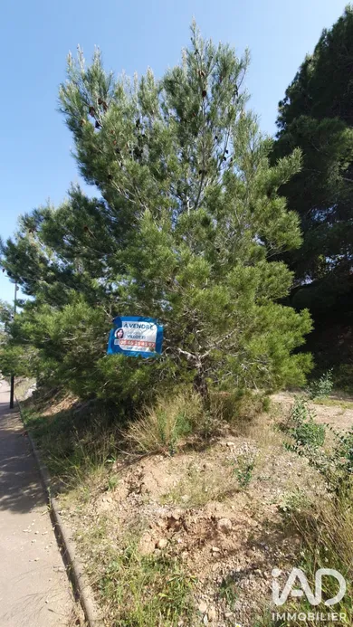 Terrain à bâtir à La Palme (11480)