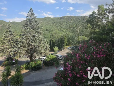 Appartement à Amélie-les-Bains-Palalda (66110)