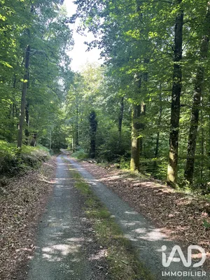 Maison de campagne à Eymoutiers (87120)