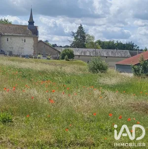 Terrain à Saint-Martin-l'Heureux (51490)