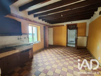 Maison à LE TRANGER (36700)