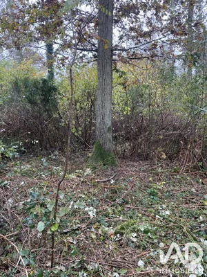 Terrain à FONTENAY-SUR-LOING (45210)