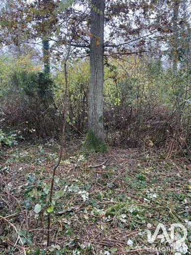 Terrain à FONTENAY-SUR-LOING (45210)
