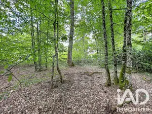 Land in Courtenay (45320)