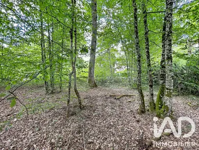 Terrain à Courtenay (45320)