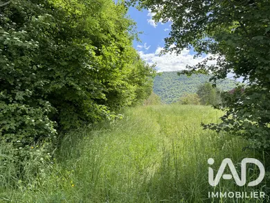 Terrain à VENON (38610)