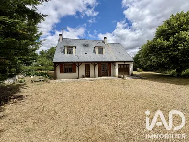 Traditional house in Neuillé-le-Lierre (37380)