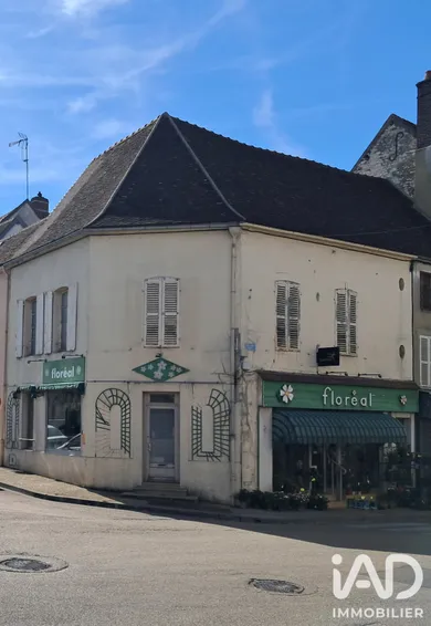 Building in Brienon-sur-Armançon (89210)