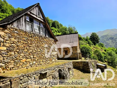 Barn in Louvie-Soubiron (64440)