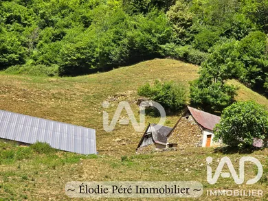 Barn in Louvie-Soubiron (64440)