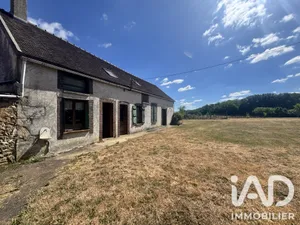 Maison de campagne à Villeneuve-sur-Yonne (89500)