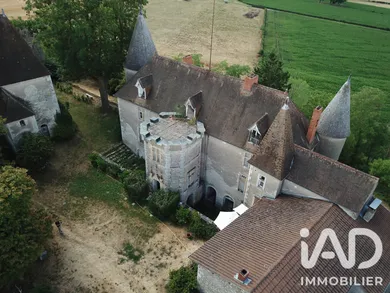 Château à Vicq (03450)