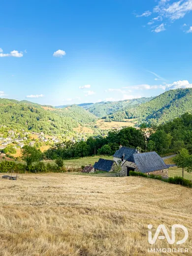 Ferme à Entraygues-sur-Truyère (12140)