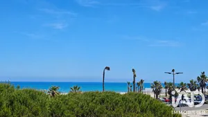 Appartement à Saint cyprien (66750)