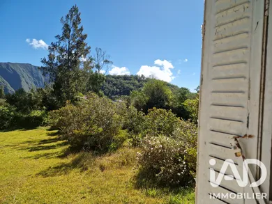 House in La Plaine-des-Palmistes (97431)