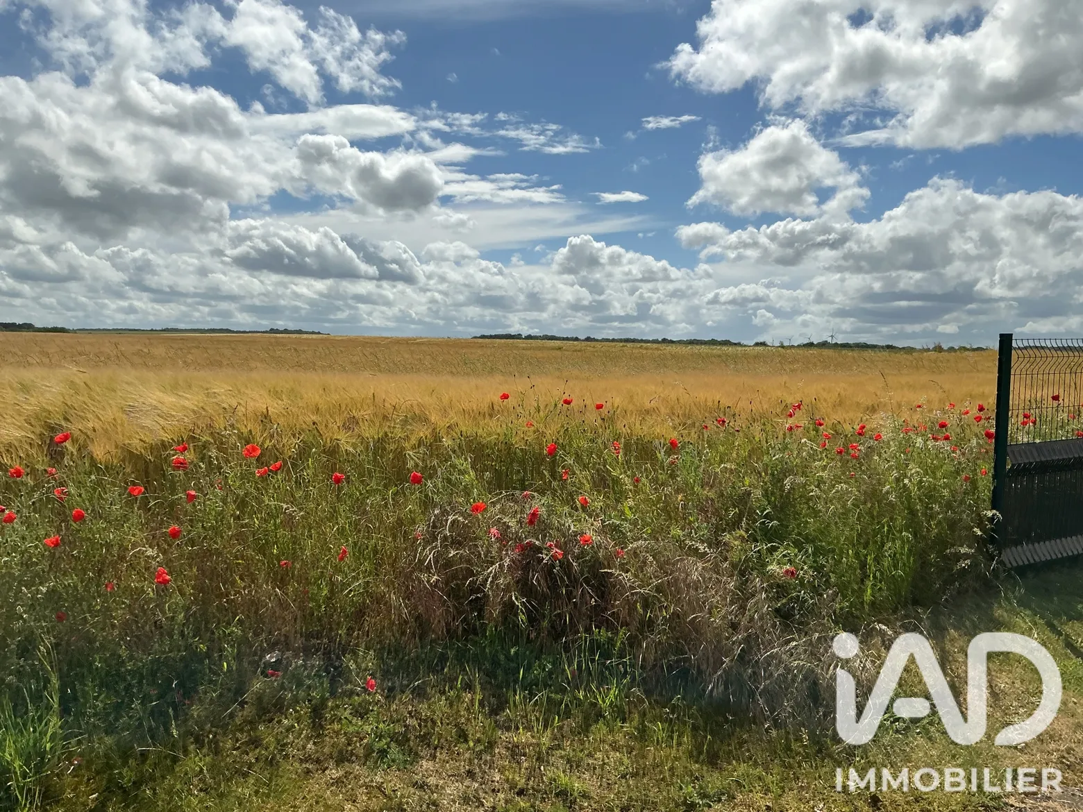 Vente maison à Ailly-sur-Somme (80470) : maison 7 pièces 176 m² - 2068427 — 3