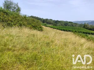 Terrain à bâtir à Monein (64360)