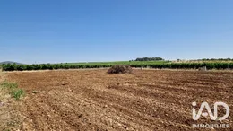 Terrain à ADISSAN (34230)