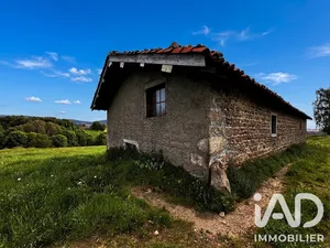 Grange à Sauvain (42990)