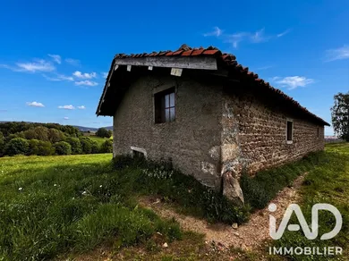Grange à Sauvain (42990)