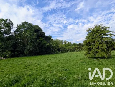 Terrain à bâtir à Landes-le-Gaulois (41190)