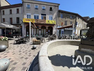 Restaurant in Vernoux-en-Vivarais (07240)