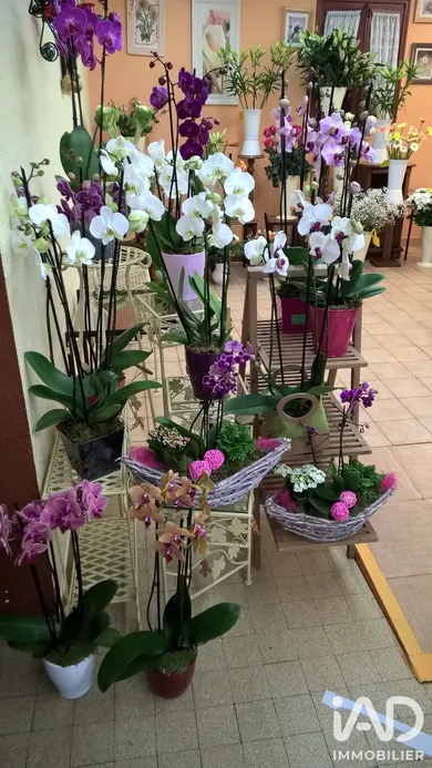 Gifts, Flowers in Lons-le-Saunier (39000)