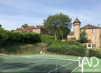 Castle in Laizy (71190)