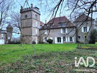Castle in Laizy (71190)