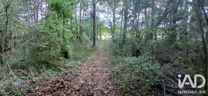 Terrain loisirs à VILLEMOUTIERS (45270)