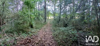 Terrain loisirs à VILLEMOUTIERS (45270)
