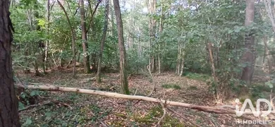 Terrain loisirs à VILLEMOUTIERS (45270)
