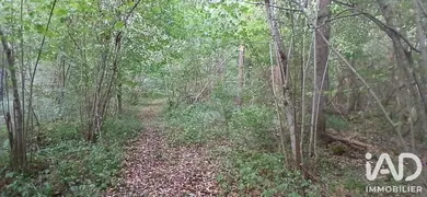 Terrain loisirs à VILLEMOUTIERS (45270)