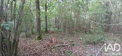Terrain loisirs à VILLEMOUTIERS (45270)