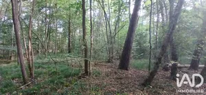 Terrain loisirs à VILLEMOUTIERS (45270)