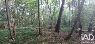 Terrain loisirs à VILLEMOUTIERS (45270)