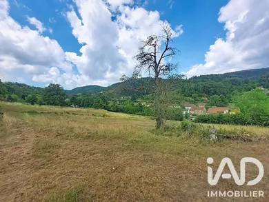 Ferme à La Croix-aux-Mines (88520)