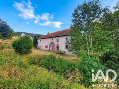 Ferme à La Croix-aux-Mines (88520)
