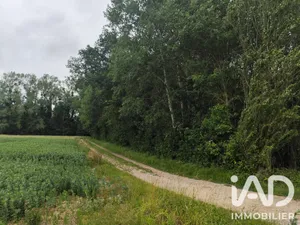 Terrain loisirs à Bellot (77510)