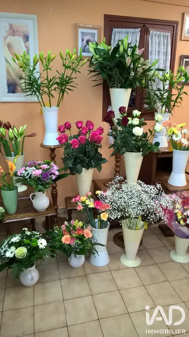 Gifts, Flowers in Lons-le-Saunier (39000)